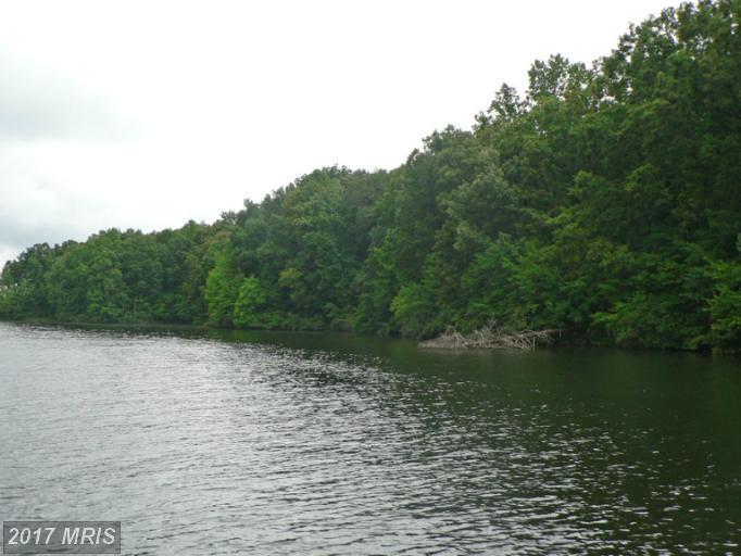 2903 Minor Road - Photo 1