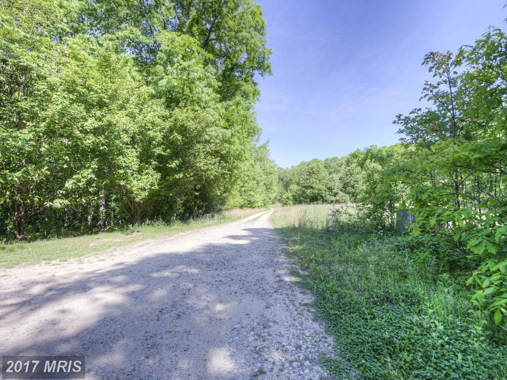 5701 Partlow Road - Photo 1