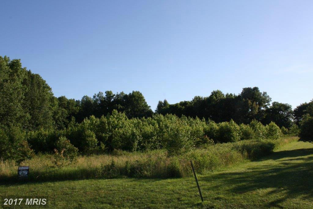 Discovery Terrace - Photo 1
