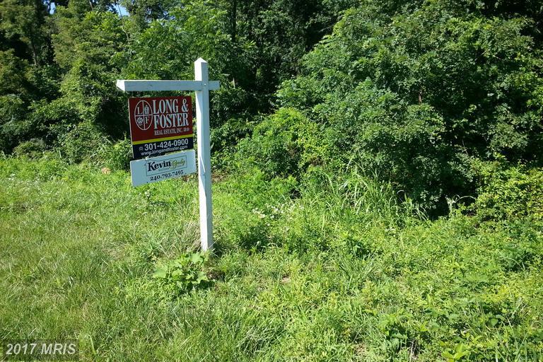 8307 Prophet Acres Road - Photo 1