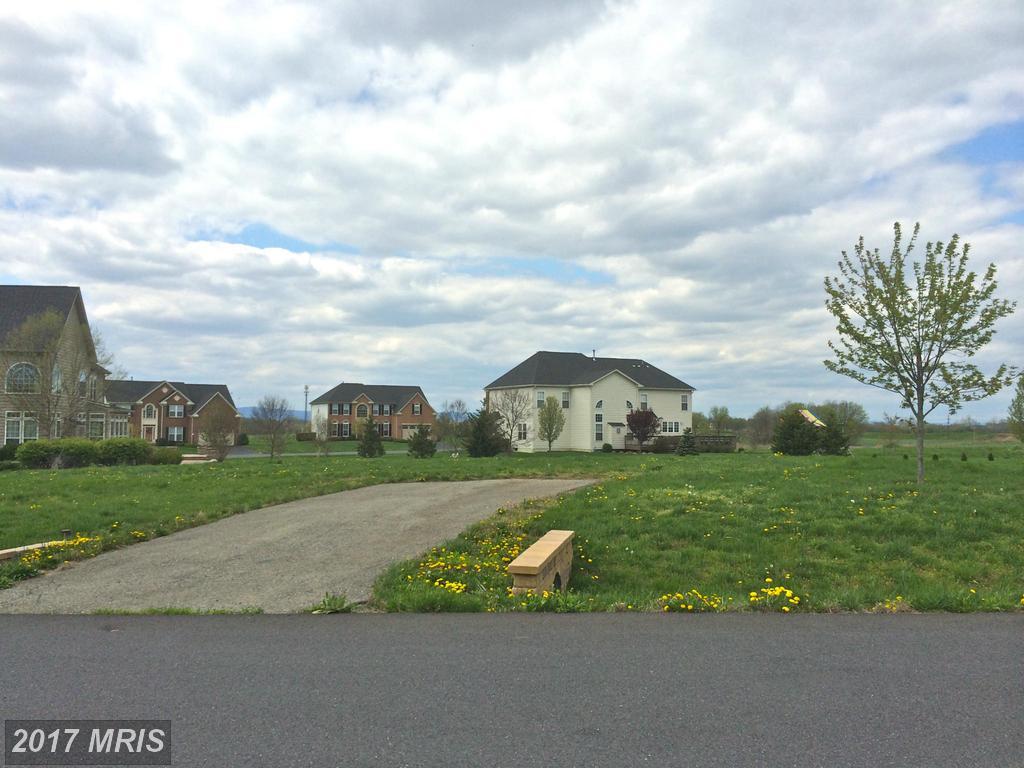 13412 John Martin Drive - Photo 1