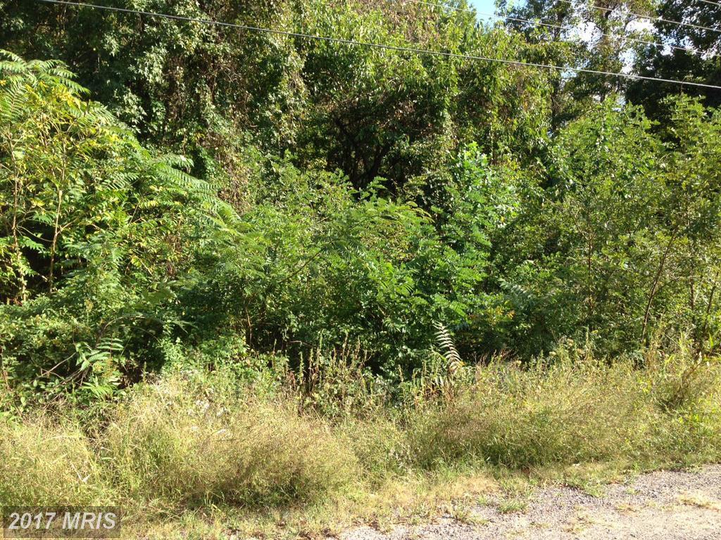 0 Holly Way - Photo 1