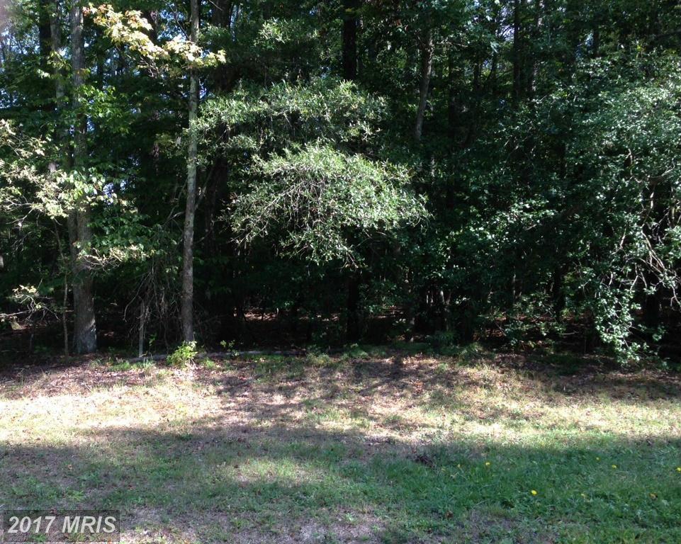 0 Placid Point Drive - Photo 1
