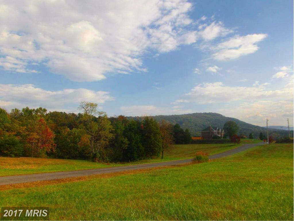 Hatcher Drive - Photo 1