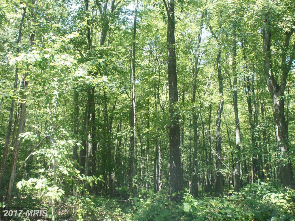 923 Forrester Road - Photo 1