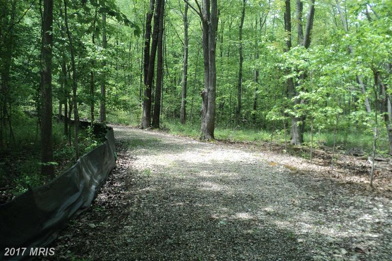 921 Forrester Road - Photo 1