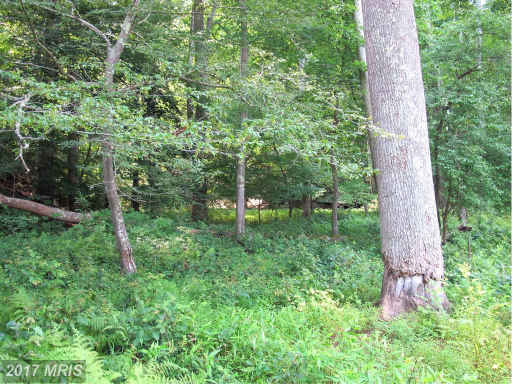 2083 Haverford Drive - Photo 1