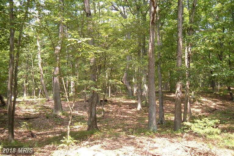 Clement-Armstrong Road - Photo 1