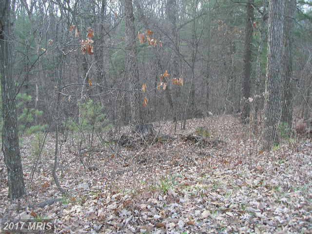 202 Racoon Trail - Photo 1