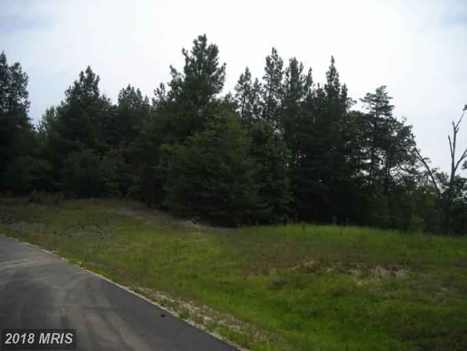 13470 Plantation Pines Place - Photo 1