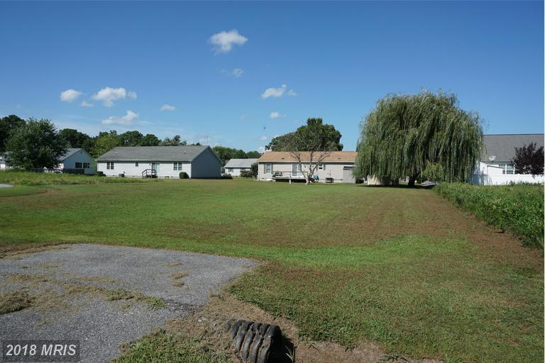 11 Arbutus Terrace - Photo 1
