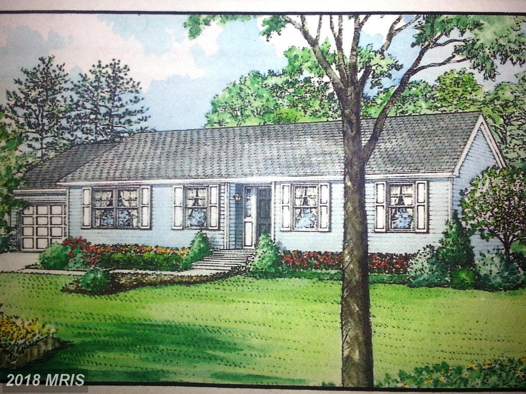 Shelby Drive - Photo 1