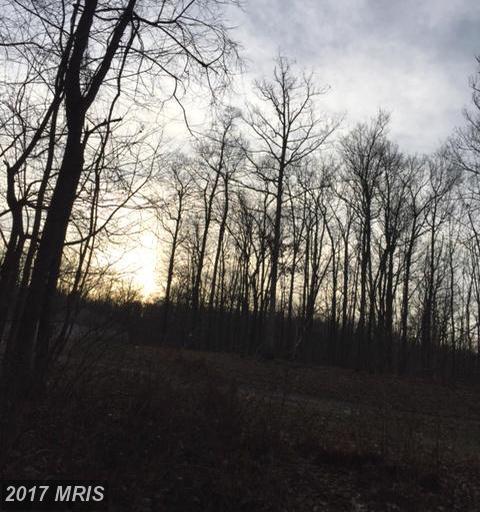 LOT 54 Longwood Drive - Photo 1