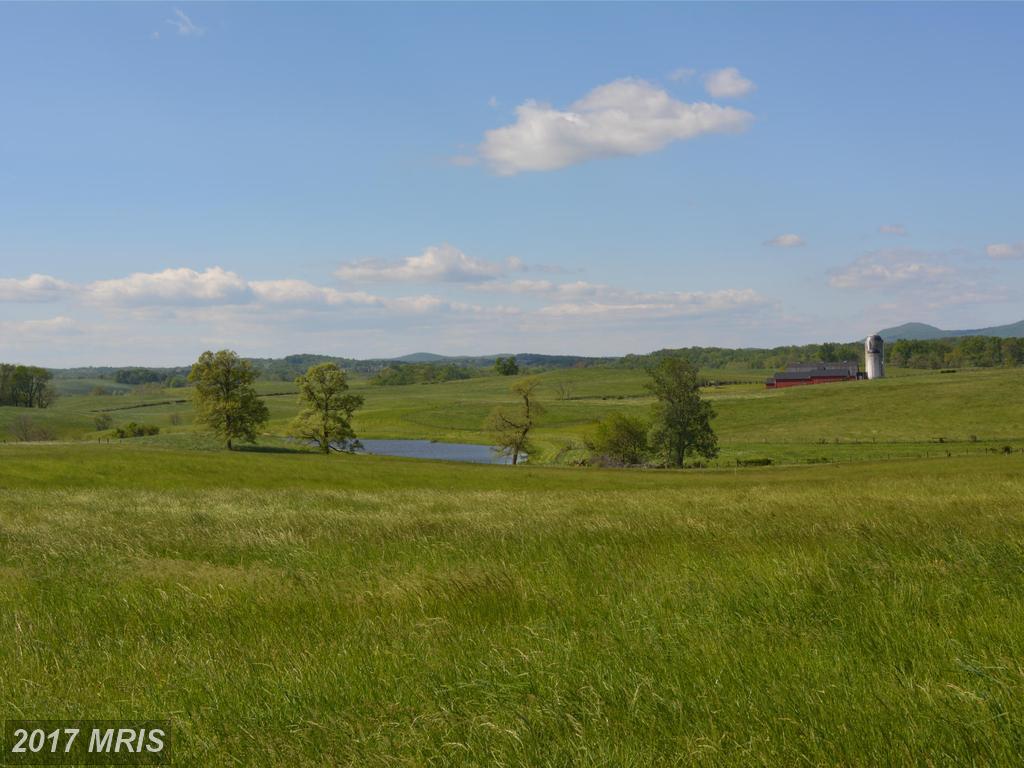 2223 Rokeby Road - Photo 1