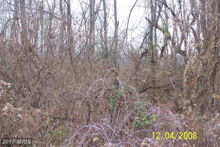 Lot 1C Cito Road - Photo 1