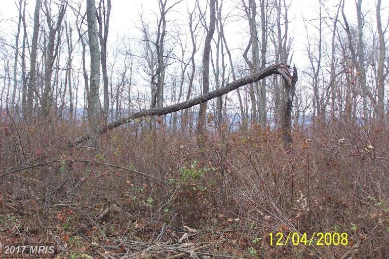 Lot 1B Cito Road - Photo 1
