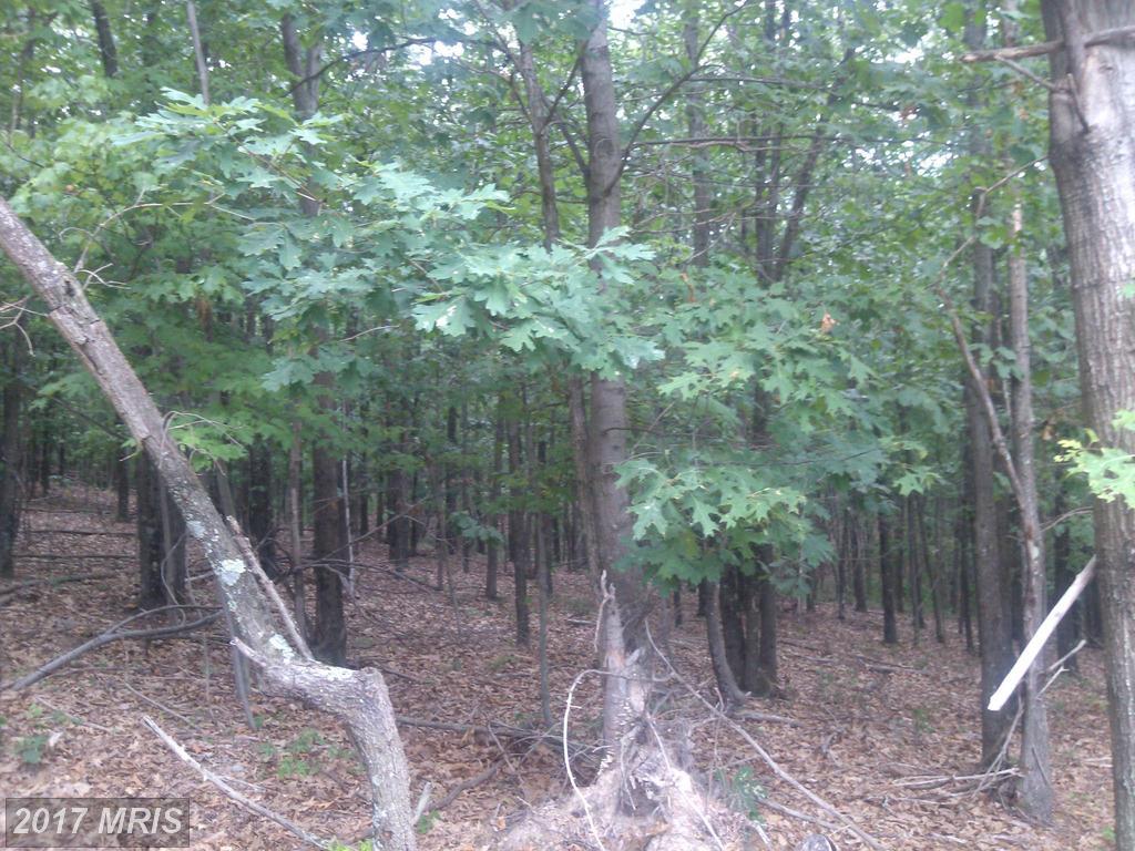 Black Oak Road,Lot 7 - Photo 1