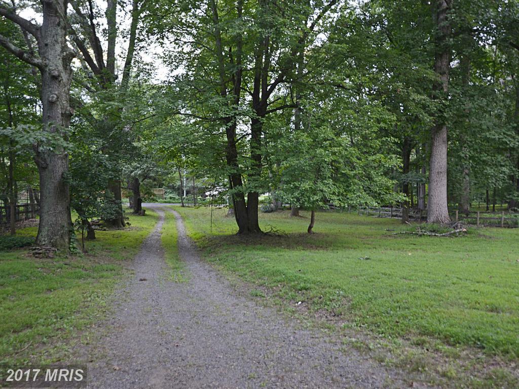 215 Deepwoods Drive - Photo 1