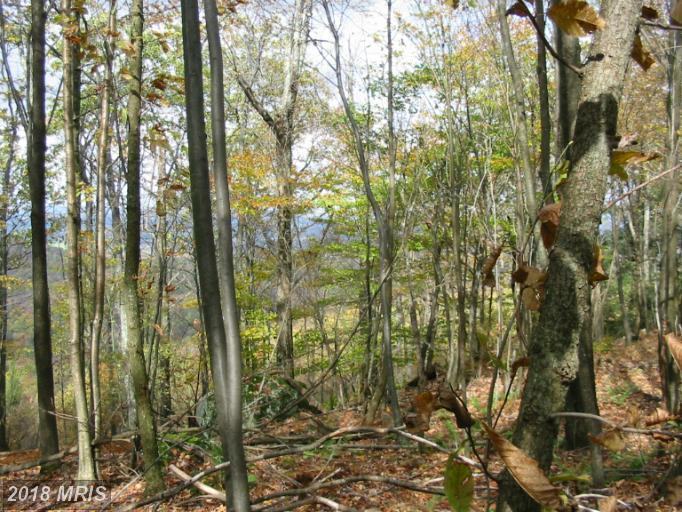 Lot 7 Backbone Ridge - Photo 1