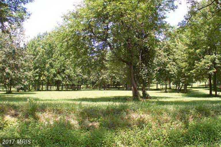 412 Robin Hood Road - Photo 1