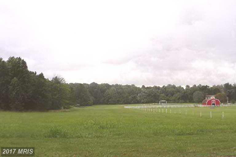 429 Robin Hood - Photo 1