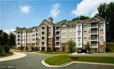 901 Macphail Woods Crossing - Photo 1