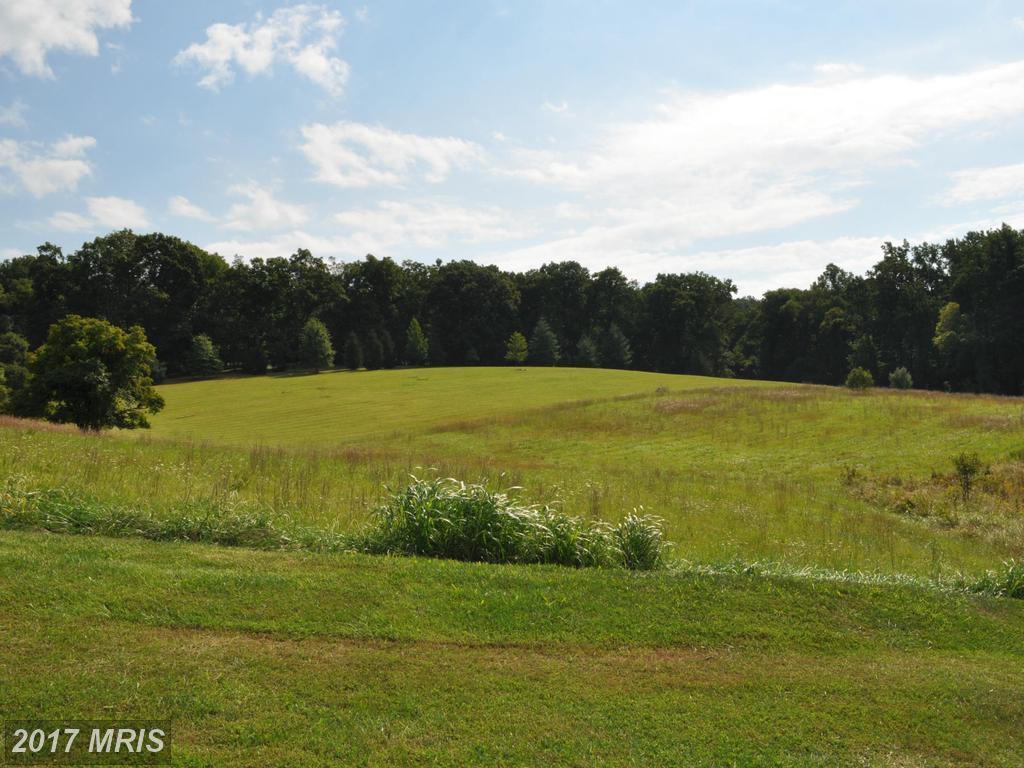 40221 Beacon Hill Drive - Photo 1