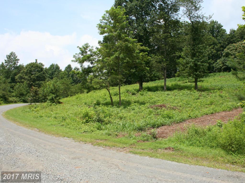 Glebe Run Village Drive - Photo 1