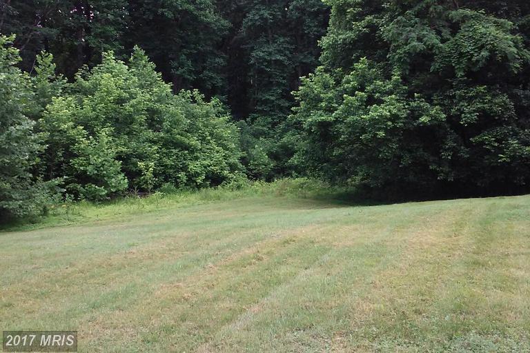 Berryville Road - Photo 1