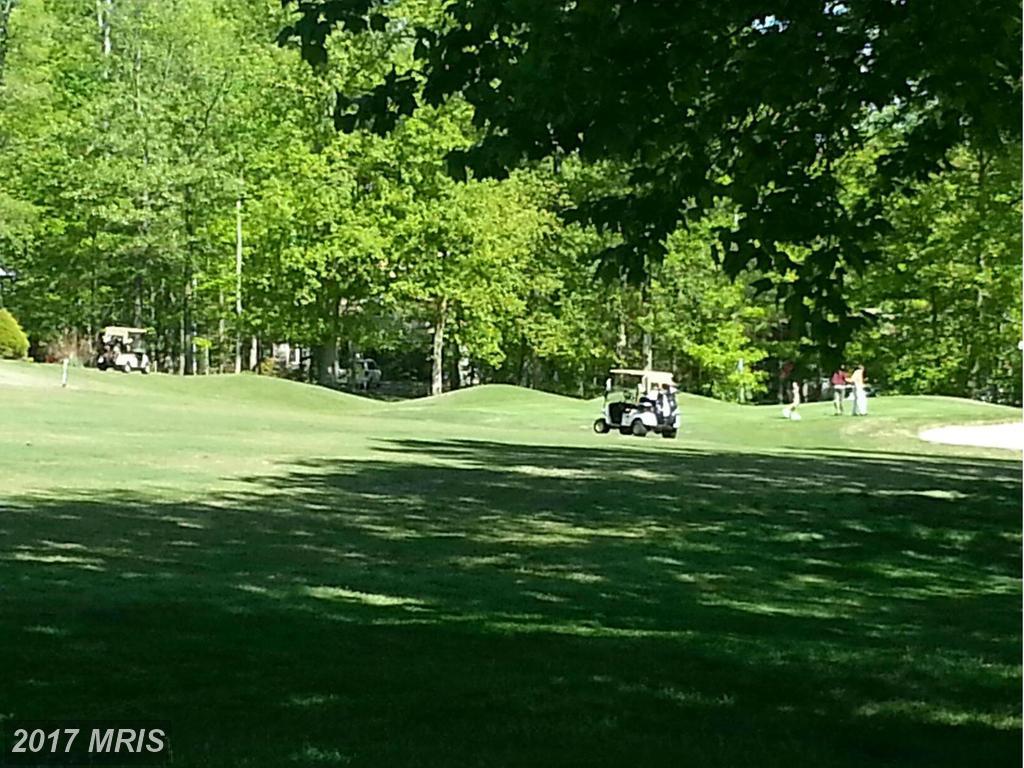 202 Sand Trap Lane - Photo 1