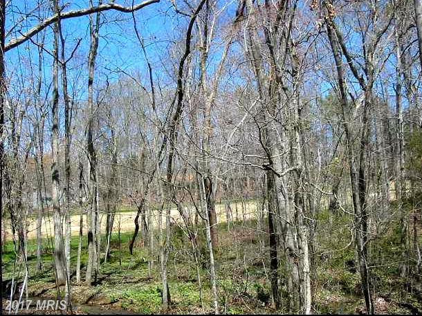 1121 Eastover Parkway - Photo 1