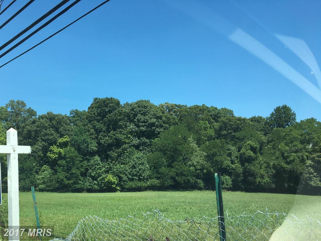7310 Livingston Road - Photo 1