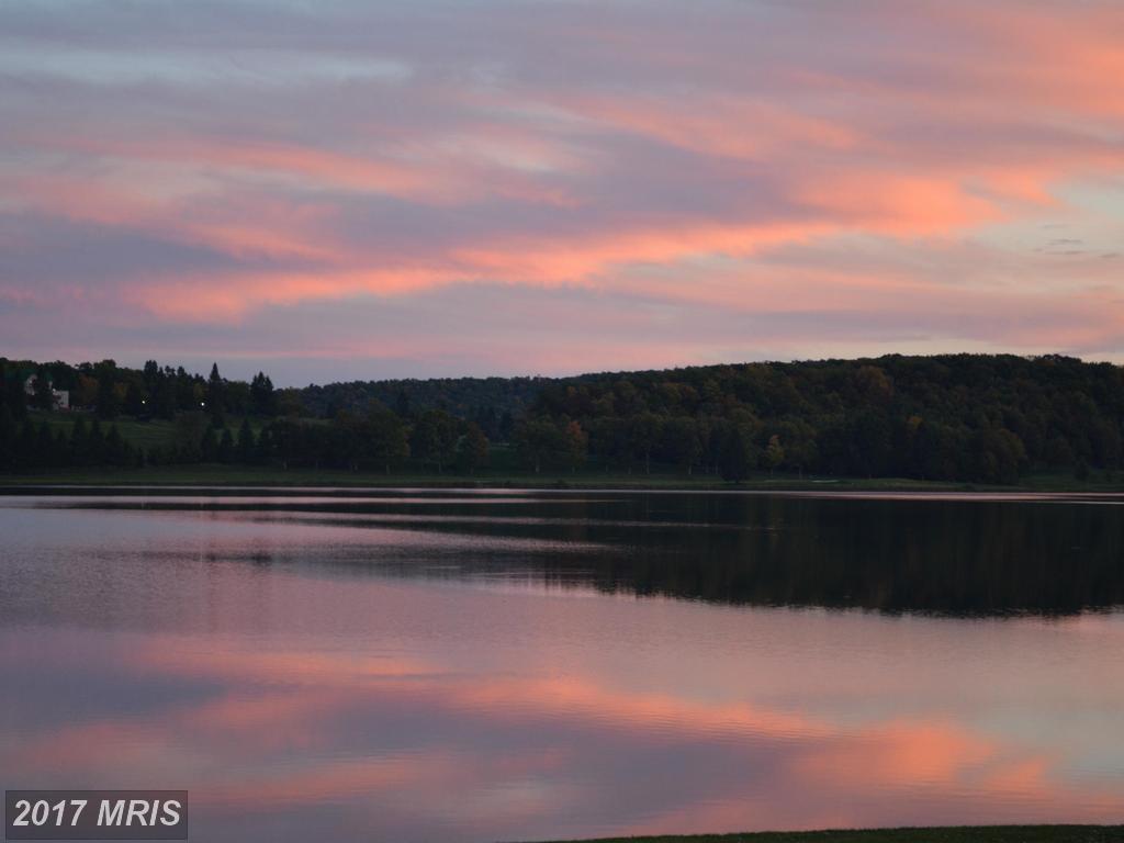 75-LOT Daylily Circle - Photo 1