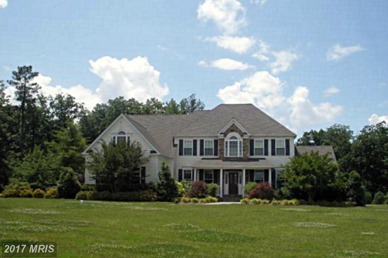 22147 Hanover Woods Court - Photo 1