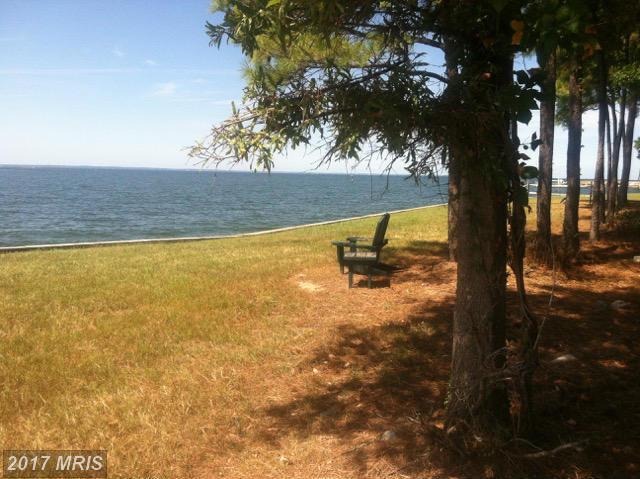 4962 Black Walnut Point Road - Photo 1