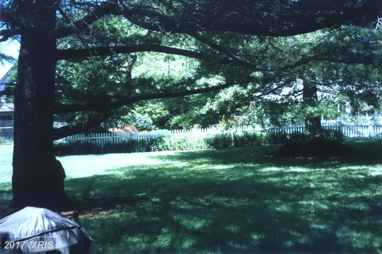 117 Thompson Street - Photo 1