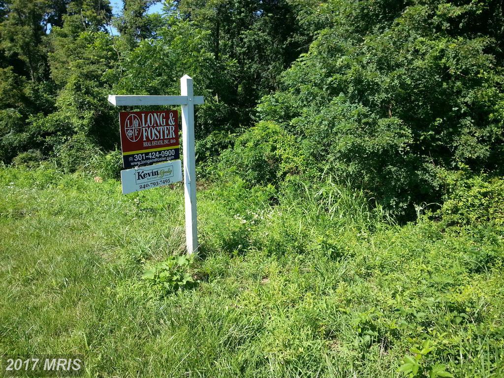 8307 Prophet Acres Road - Photo 1