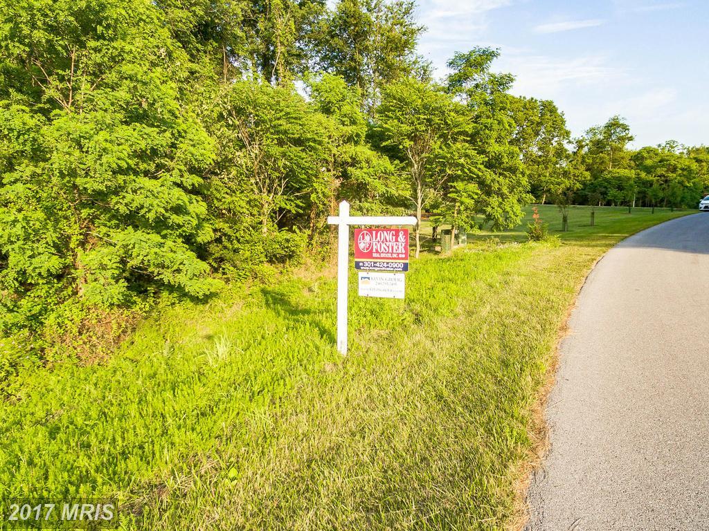8212 Prophet Acres Road - Photo 1