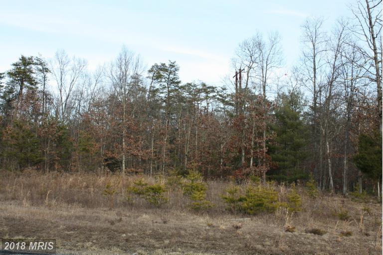 Lot 15 Spring Wood Lane - Photo 1