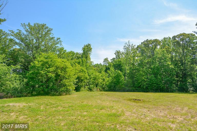 3086-LOT 4 Newington Drive - Photo 1