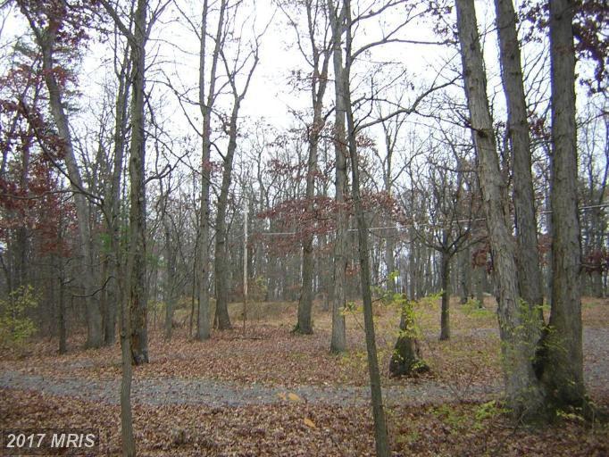 3204 Mountain Lake Road - Photo 1