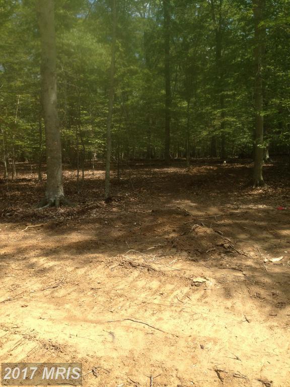 5320 Bennett Brae Place - Photo 1