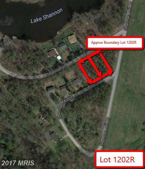 Shannon Mill - Photo 1
