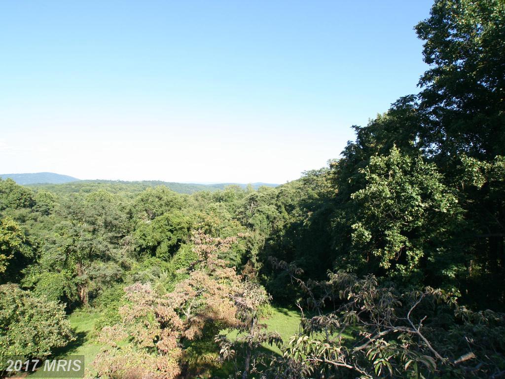3775 Fiery Run Road - Photo 1