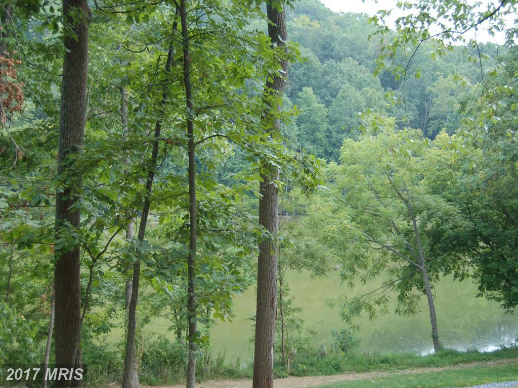 6721 Balmoral Overlook Court - Photo 1