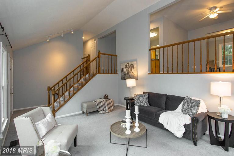 9082 Blue Jug Landing - Photo 1