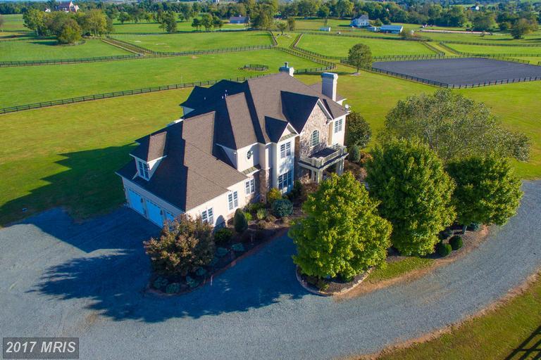 15679 Limestone School Road - Photo 1