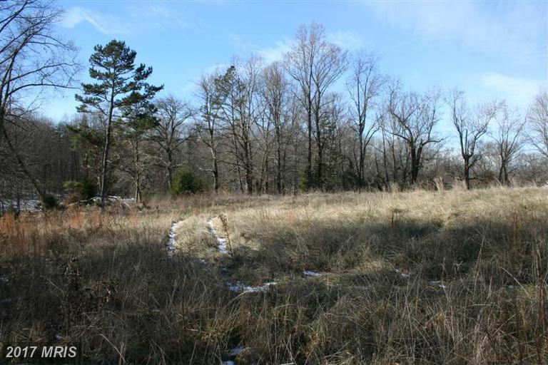 66-E Willis Ford Lane - Photo 1