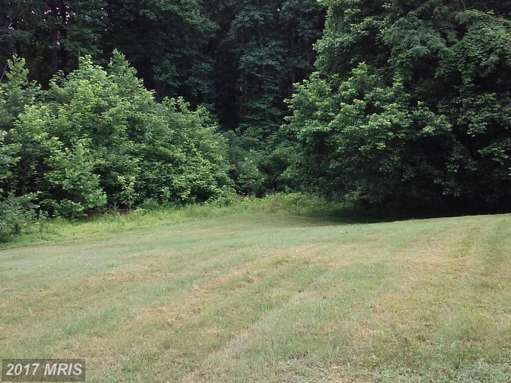 Berryville Road - Photo 1