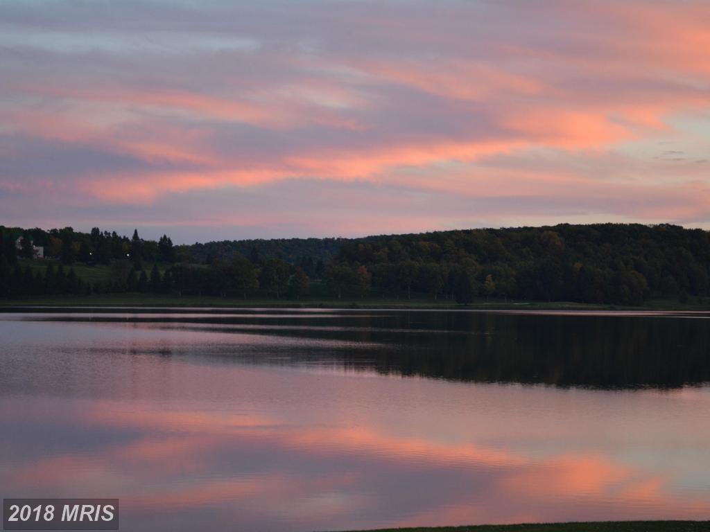 75-LOT Daylily Circle - Photo 1